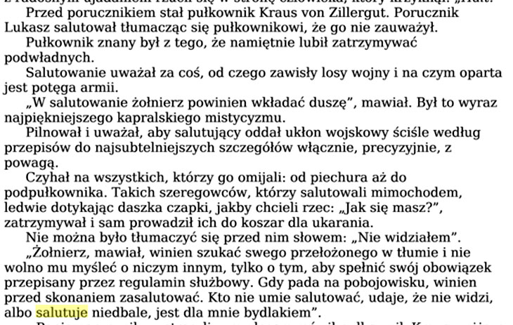 szwejk salut dp