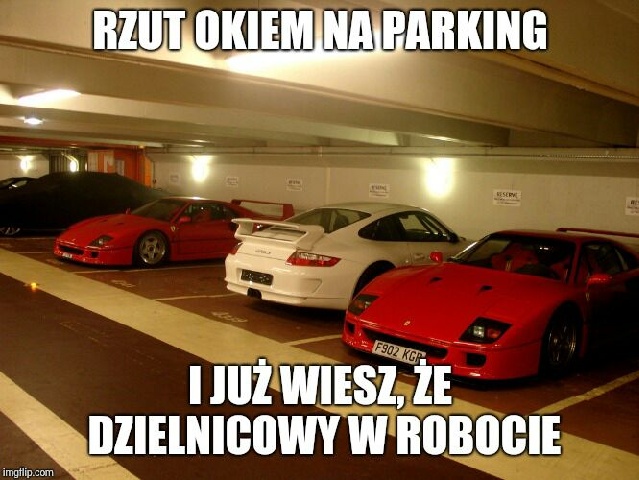 memy 009